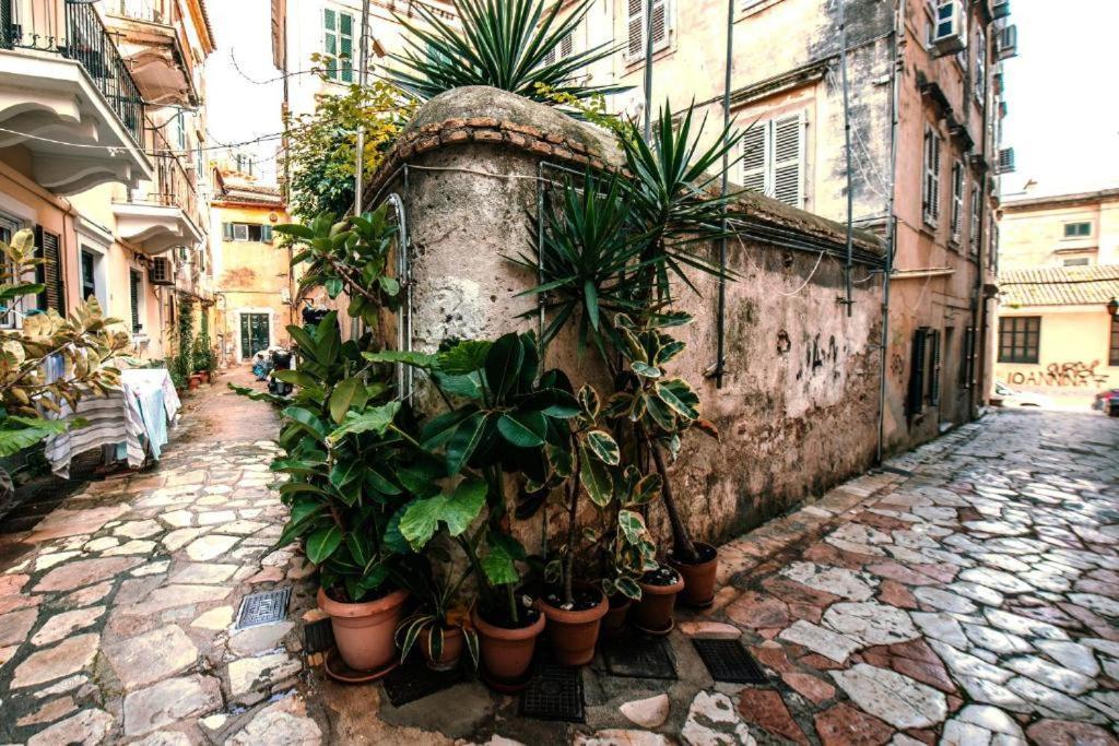 Summer Me - Cute Downtown Corfu  Eksteriør billede